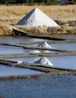 Salt Harvest in Brittany France